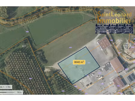 saint etienne en cogles