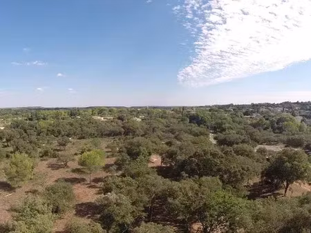 vente terrain 4600 m² à cavaillon (84300)  296 000 €