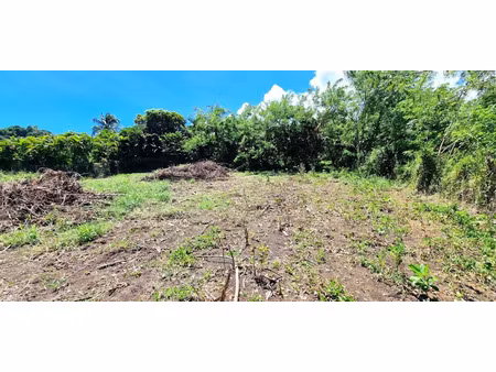 vente terrain à batir 1099 m² à le vauclin (97280)  150 000 €
