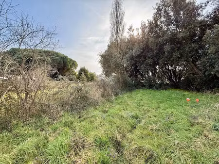 vente terrain à batir 610 m² à le grand-village-plage (17370)  127 200 €