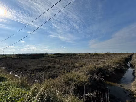 claires a vendre marais de nieuille sur seudre