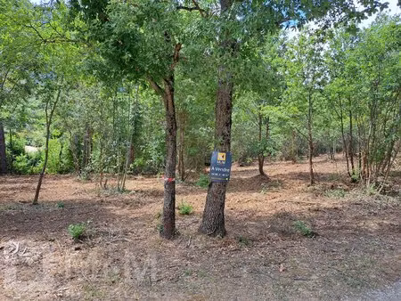 terrain constructible