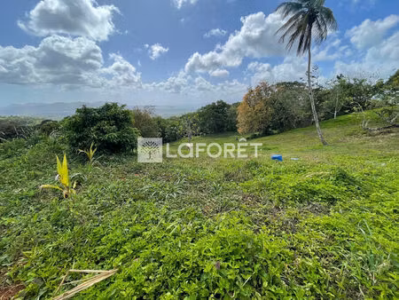 terrain de 2 900 m² à sainte-luce