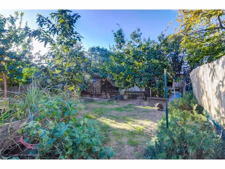 vente maison 3 pièces 44 m² à prunelli-di-fiumorbo (20243)  169 000 €