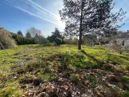 vente terrain 1164 m² à solférino (40210)  85 000 €