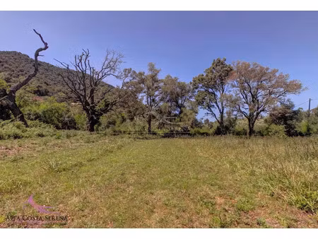vente terrain à batir 1000 m² à serra-di-fiumorbo (20243)  96 750 €