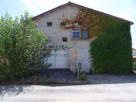 vente locaux professionnels 1000 m² à miramont-de-guyenne (47800)  199 000 €