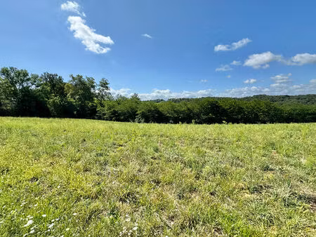 vente terrain 2080 m² cescau (64170)
