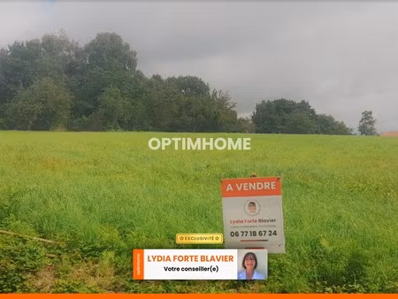 terrain de 6 680 00 m² saint leonard de noblat (87)