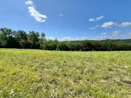 vente terrain cescau 64170 - - surface privée