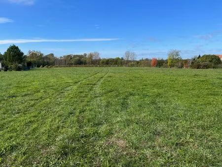 terrain constructible