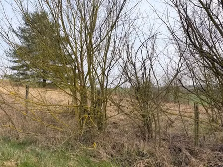 vente terrain 2000 m² à villeneuve-l'archevêque (89190)  21 000 €