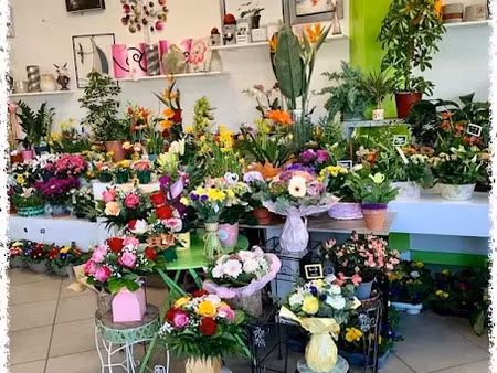 vente locaux professionnels 135 m² à mehun-sur-yèvre (18500)  84 000 €