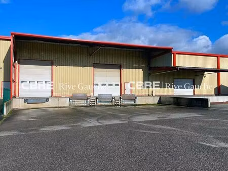 location entrepôt / local d'activités scherwiller 4 000 m²
