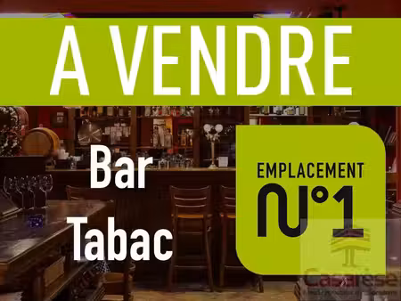 vente commerce 1000 m² le faouët (56320)