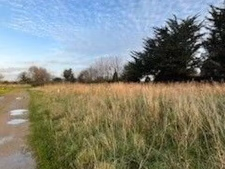 terrain 702 m² guimaëc