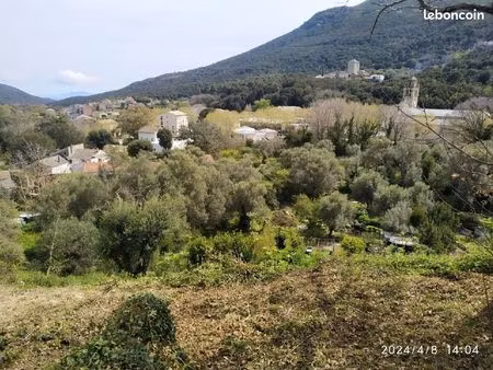 beau terrain avec vue panoramique sur le centre du village de luri et aperçu mer  avec cuo