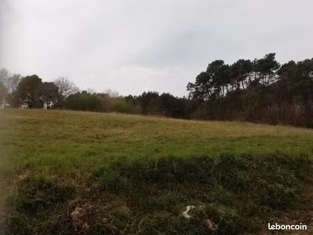 terrain 1 009 m² sourzac