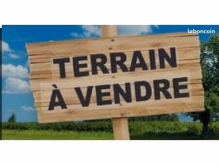 terrain constructible