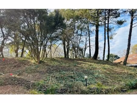 terrain capbreton m² t- à vendre  450 000 €