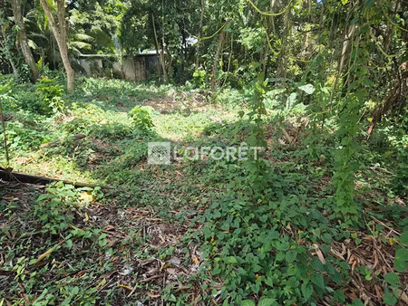 vente terrain 1030 m² à le lamentin (97232)  98 000 €