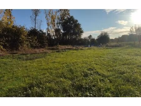 terrain beaupouyet m² t- à vendre  59 675 €