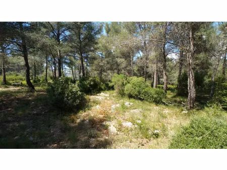 vente terrain 38000 m² ollioules (83190)