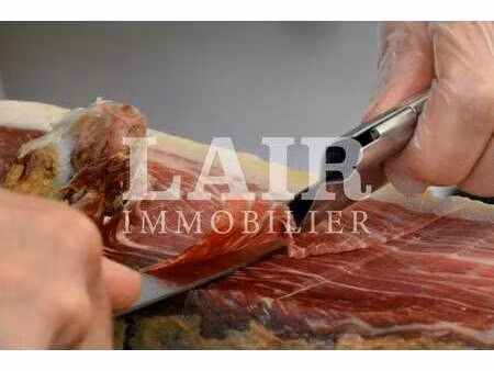 vente bureaux et commerces à la ferté-macé (61600) : à vendre / 170m² la ferté-macé