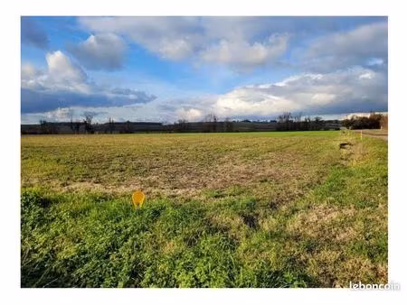 terrain constructible