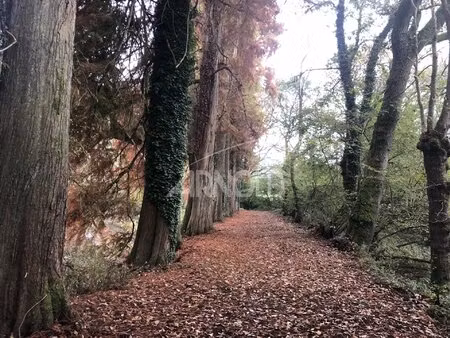 beau projet de propriété avec un étang