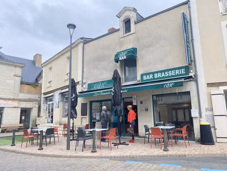 vente immeuble 206 m² à doué-en-anjou (49700)  235 000 €