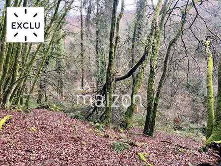 vente bois  forêt et étang à trébry (22510) : à vendre / trébry