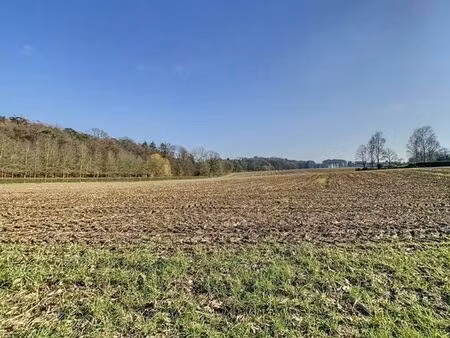 lot 1b : magnifique terrain à bâtir avec vue