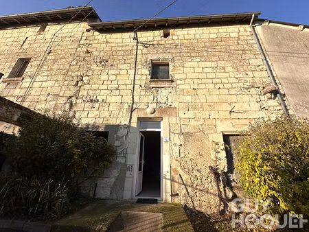 maison vouneuil-sur-vienne 60m2 - proche de moulière