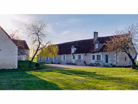 vente maison 14 pièces 354 m² à bridoré (37600)  345 000 €