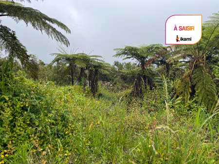 terrain 469 m2 la plaine des palmistes