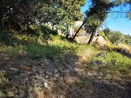 vente terrain à batir 1040 m² à saint-martin-du-var (06670)  208 500 €