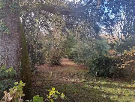 vente terrain 950 m² à meschers-sur-gironde (17132)  299 500 €