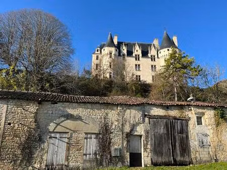 vente maison 1 pièce 50 m² neuvicq-le-château (17490)
