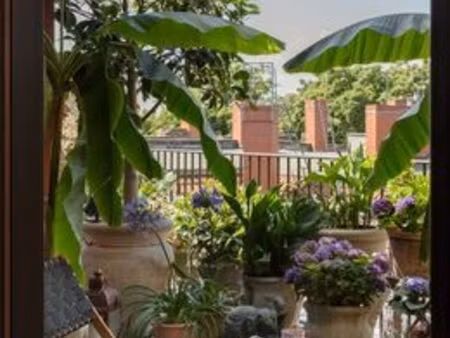 appartement de 3 chambres de luxe en vente à la wantzenau  grand est