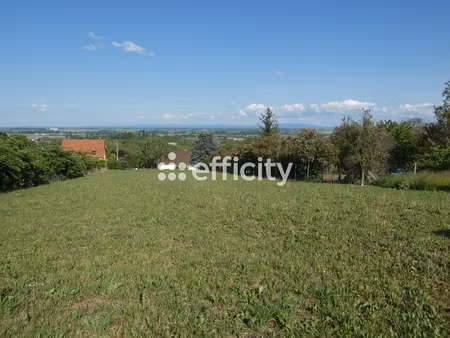 terrain - 950 m²