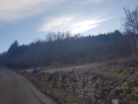 terrain boisé non constructible