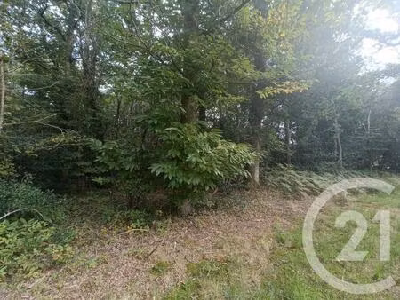 vente terrain 3069 m² grayan-et-l’hôpital (33590)