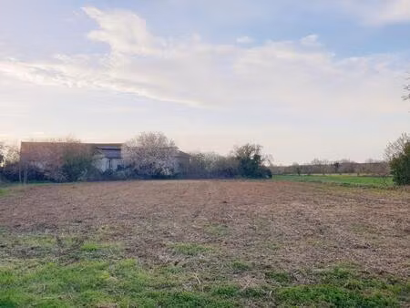 terrain constructible