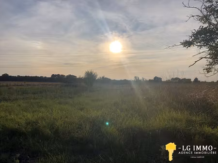 terrain à bâtir 3286m2 à bois