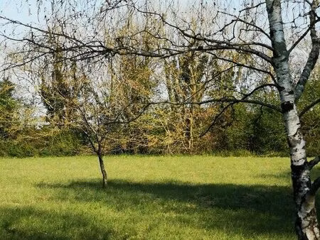 vente terrain 794 m² saint-pierre-d'amilly (17700)