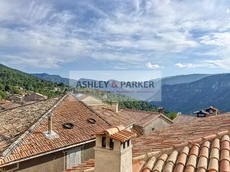 vente maison 2 pièces 40 m² braux (04240)