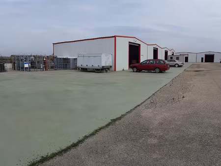 vente local industriel 1000 m² bellegarde (30127)