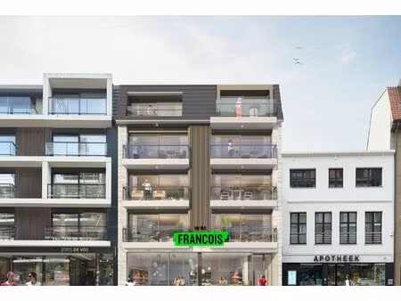 commercieel te koop in de haan