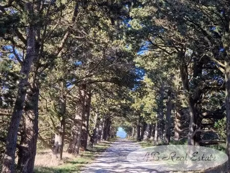 vente ferme 1000 m² à carcassonne (11000)  1 999 000 €